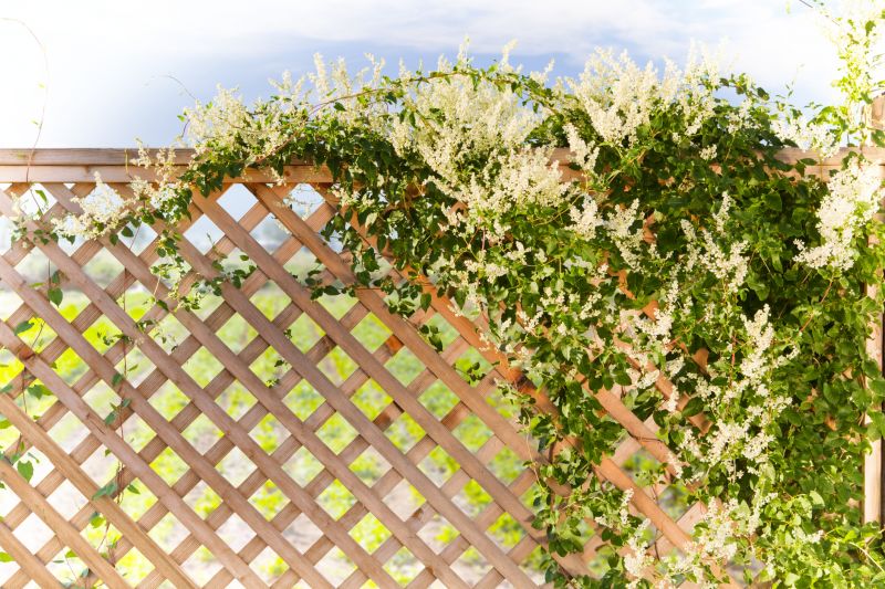 Grape Trellis Installation in Wilmington, NC